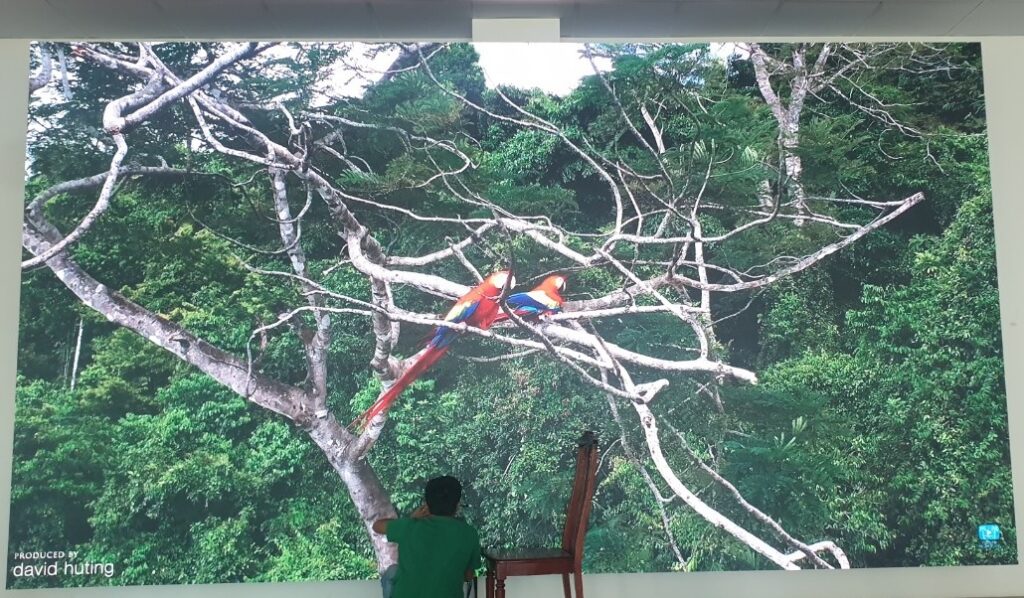 Dự án Hệ thống màn hình LED cho hội trường Ngân hàng